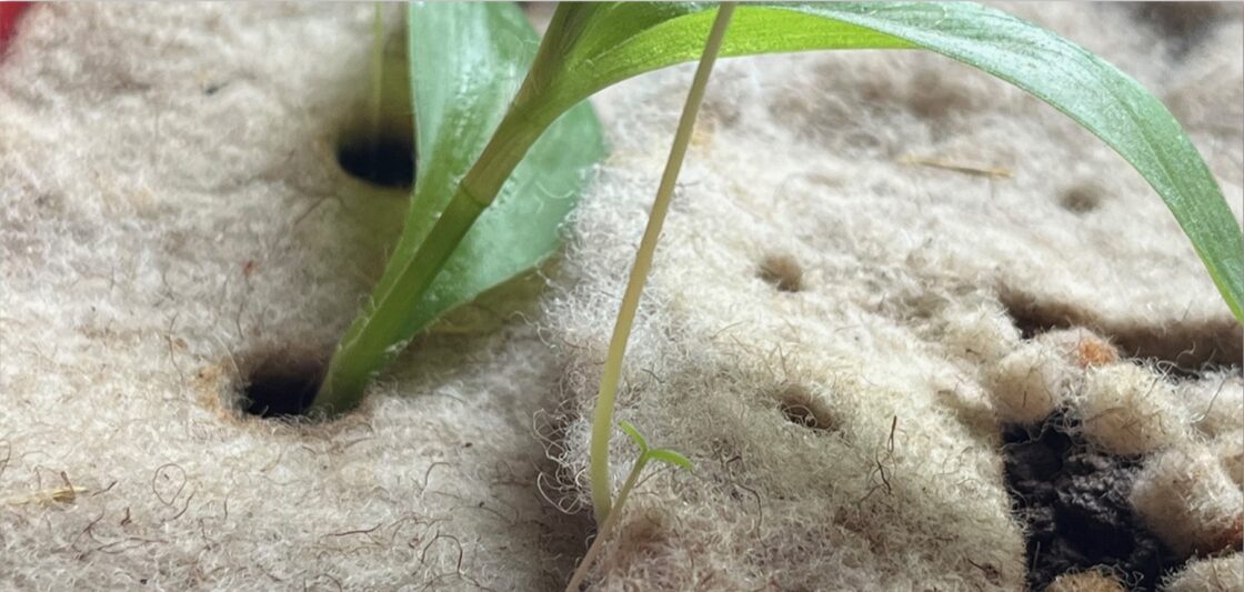 From Wool to Mulch – by Arcade / Parc Naturel Du Morvan